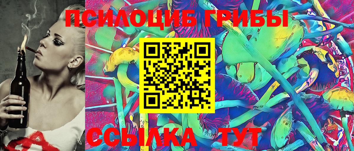 Камышлов  Галлюциногенные грибы Psilocybine cubensis  Вход с VPN 