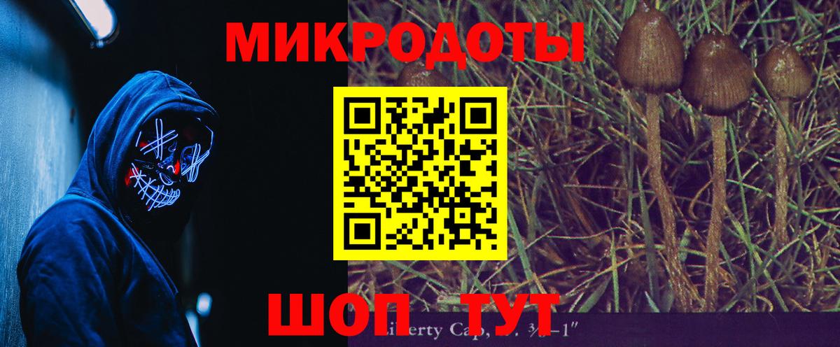 Галлюциногенные грибы мухоморы Камышлов